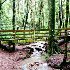 Hemi Matenga Scenic Reserve