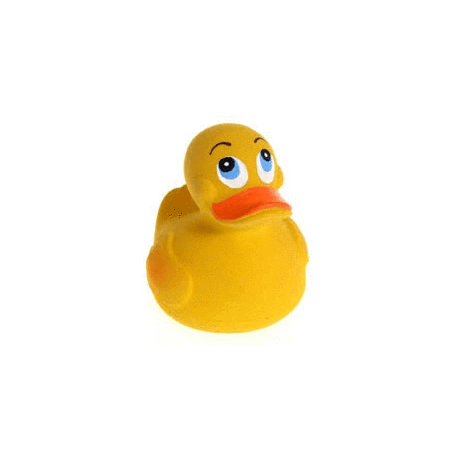 lanco rubber duck