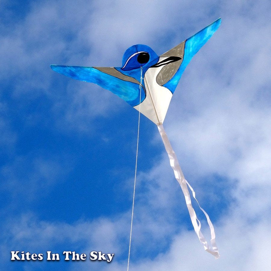 kite shape in nature