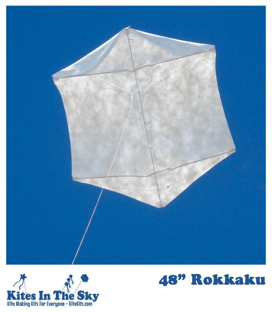 Ram Air Sled Kite – Kites In The Sky