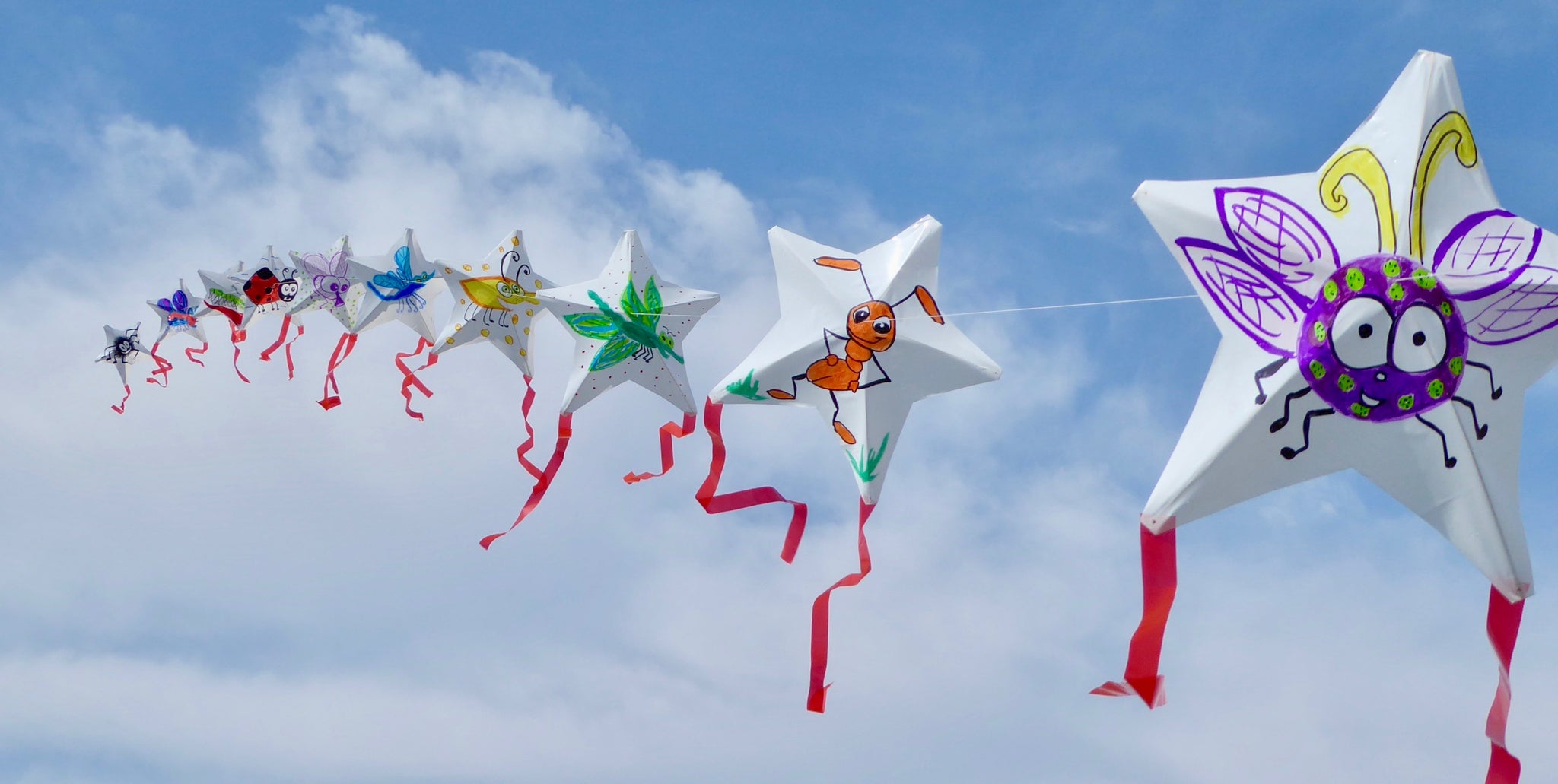 Star DIY Kite Kit Kites In The Sky