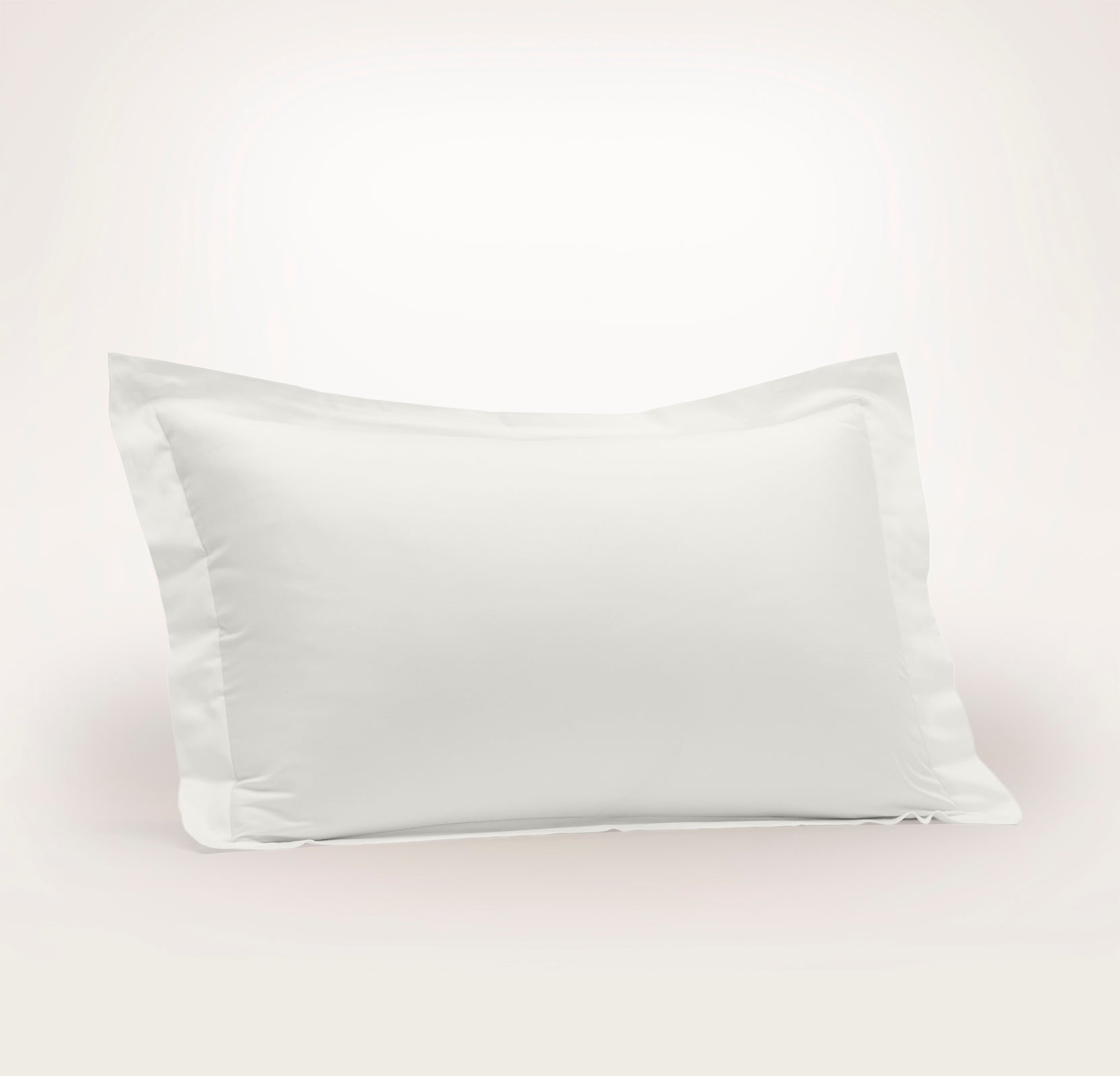 Restful Nights Euro Down Alternative Insert Pillow, 22x22, White