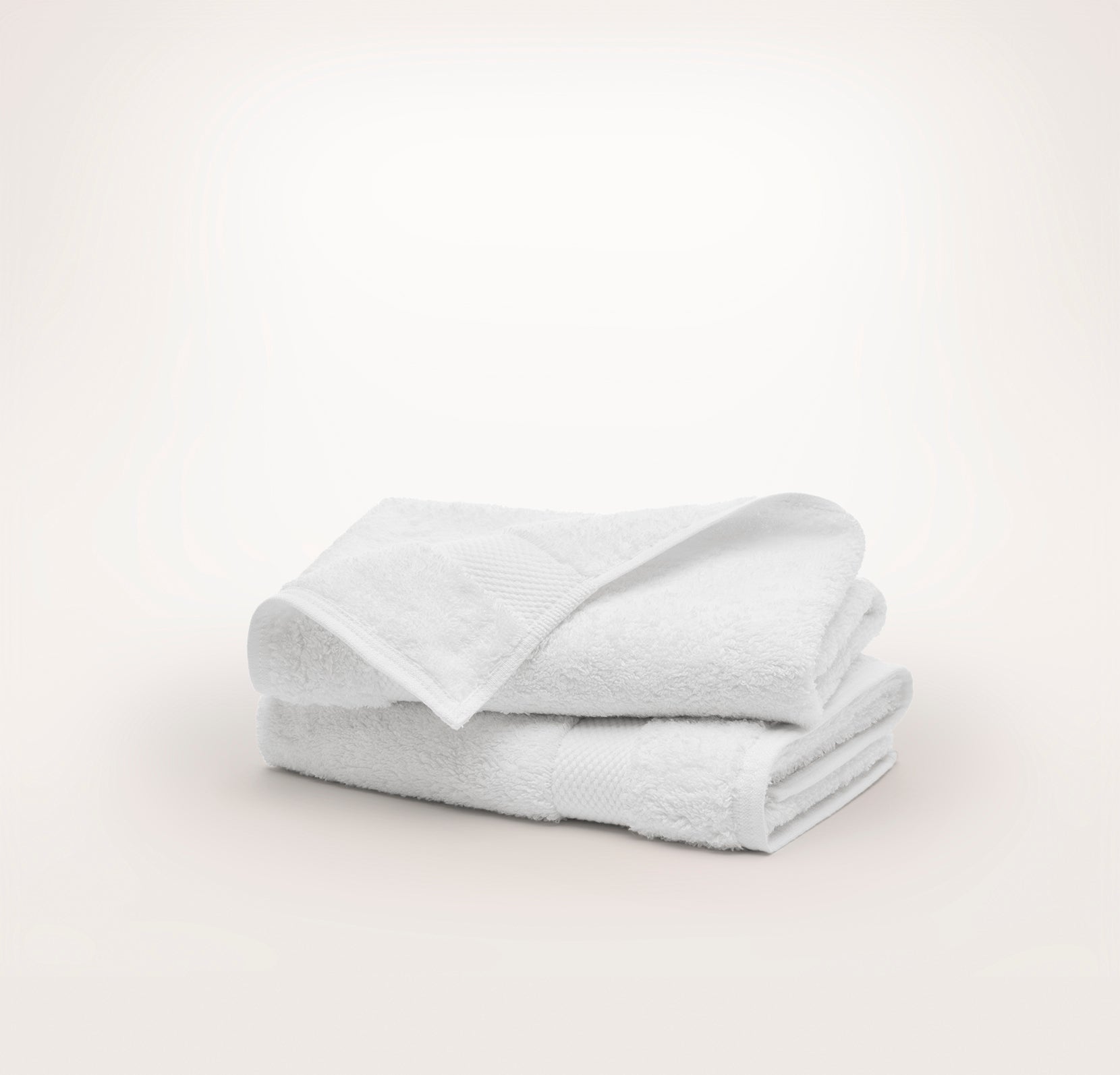 Plush Hand Towels (Pair) in White