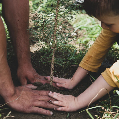 Arbor Day