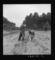 Black sharecroppers in 1939
