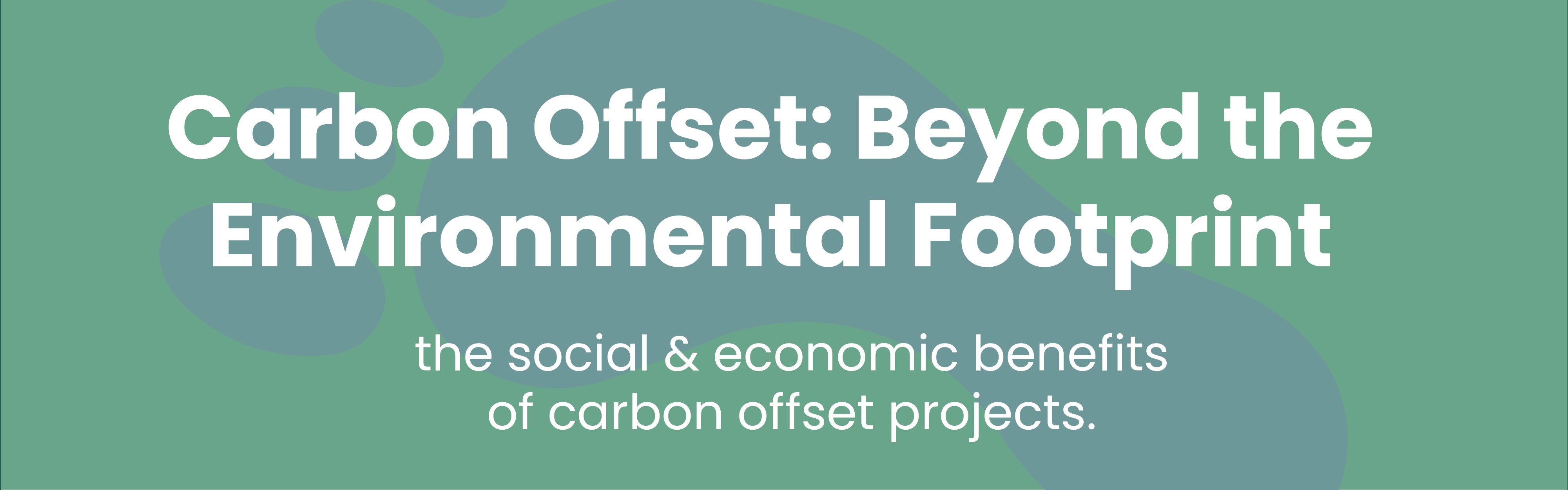 Carbon Offset: Beyond the Environmental Footprint