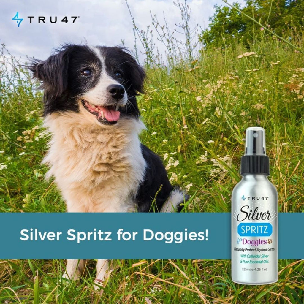 dogs can benefit as well from all the benefits of a Silver Spritz