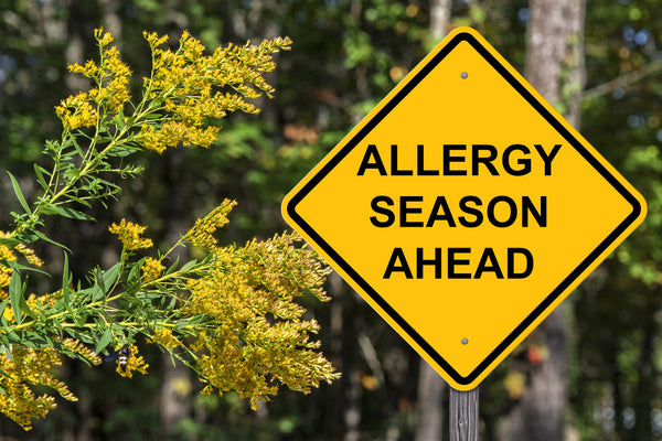 Seasonal Allergies Ahead Sign