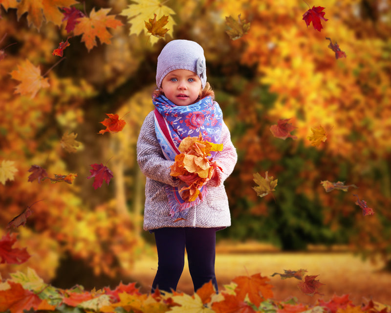 Ashe Design | 16x20 Digital Backdrop Set | Colors of Autumn – AsheDesign