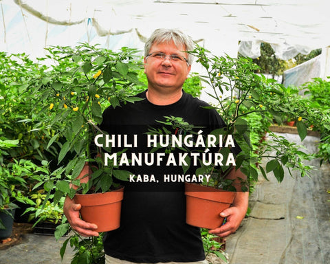 Chili Hungaria Owner and Some Plants