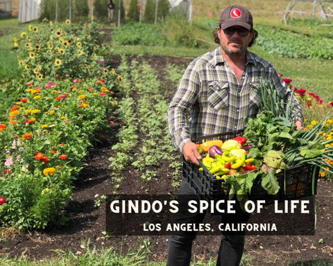 Gindo's Spice of Life Owner on a Farm Holding Produce