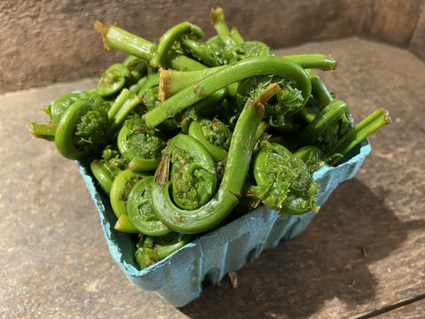 Container of Green Fiddleheads