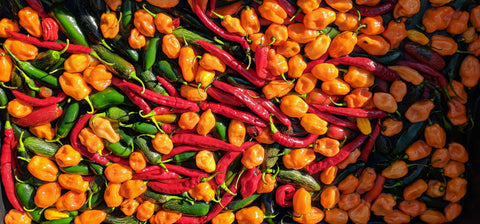 Spread of Hot Peppers 