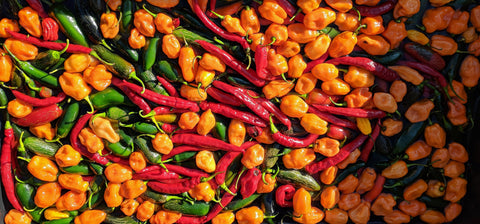 Spread of Hot Peppers