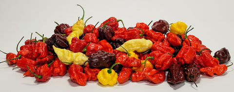 super hot peppers grown locally