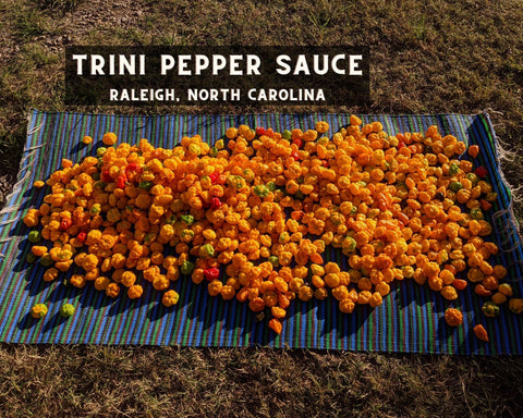 Trini Pepper Sauce Craft Hot Sauce Maker Story