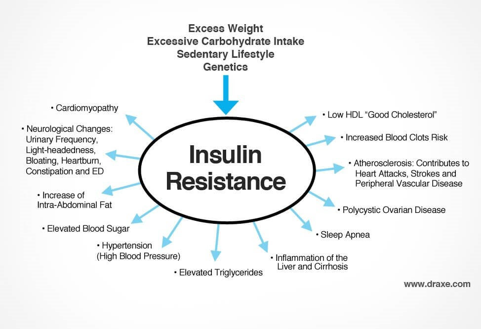 Todo sobre la resistencia y sensibilidad a la insulina Insulinresistance