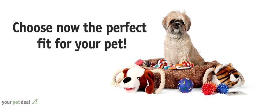 Online Discount Pet Supplies \u0026 Toys For 