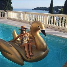 gold swan float