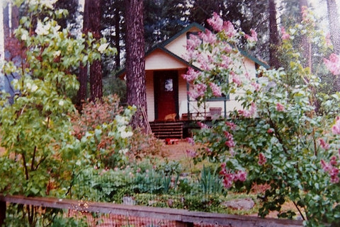 The cottage where I was born on the "Lucky 13 Ranch"