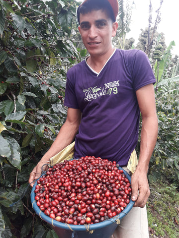 nicaraguan coffee farmer with bowl of coffee cherries