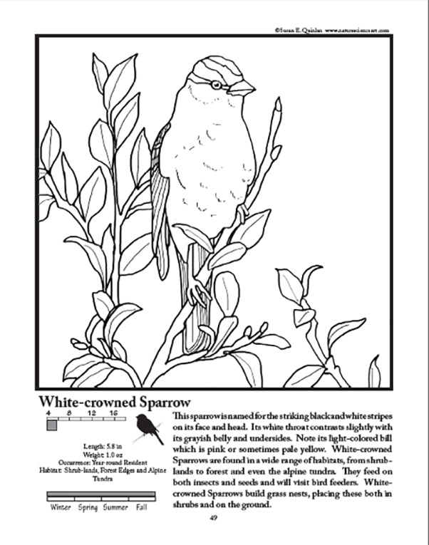 Download Birds Of The Rocky Mountain Front Range A Coloring Book Guide For Aspi Naturescienceart