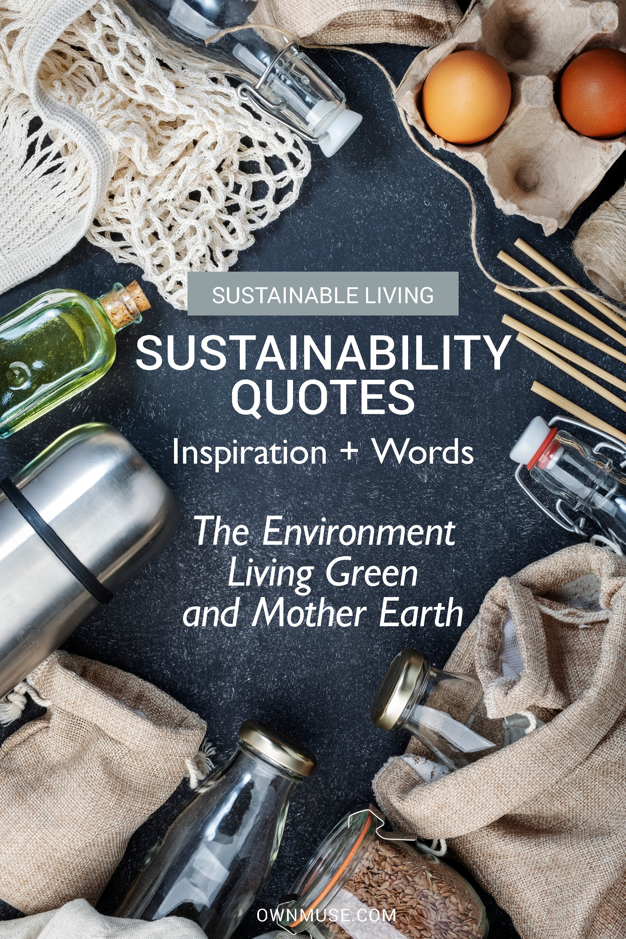 Sustainability Quotes: Words on Eco Friendly, Living Green and Mother Earth