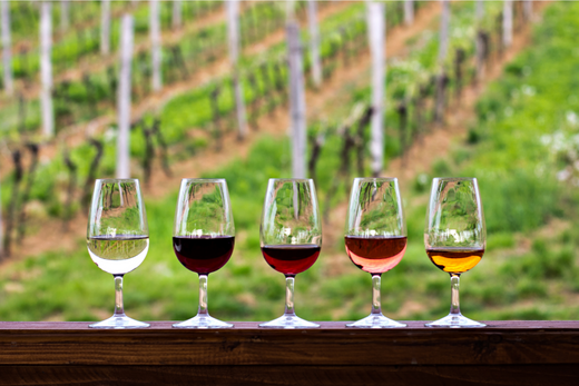 9 Kiến Thức Khoa Học Thú Vị Về Rượu Vang