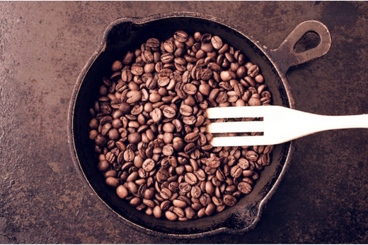 Những Điều Cần Biết Về Hạt Cà phê Arabica Và Robusta