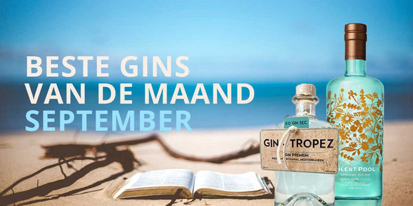 5 beste gins van de maand september