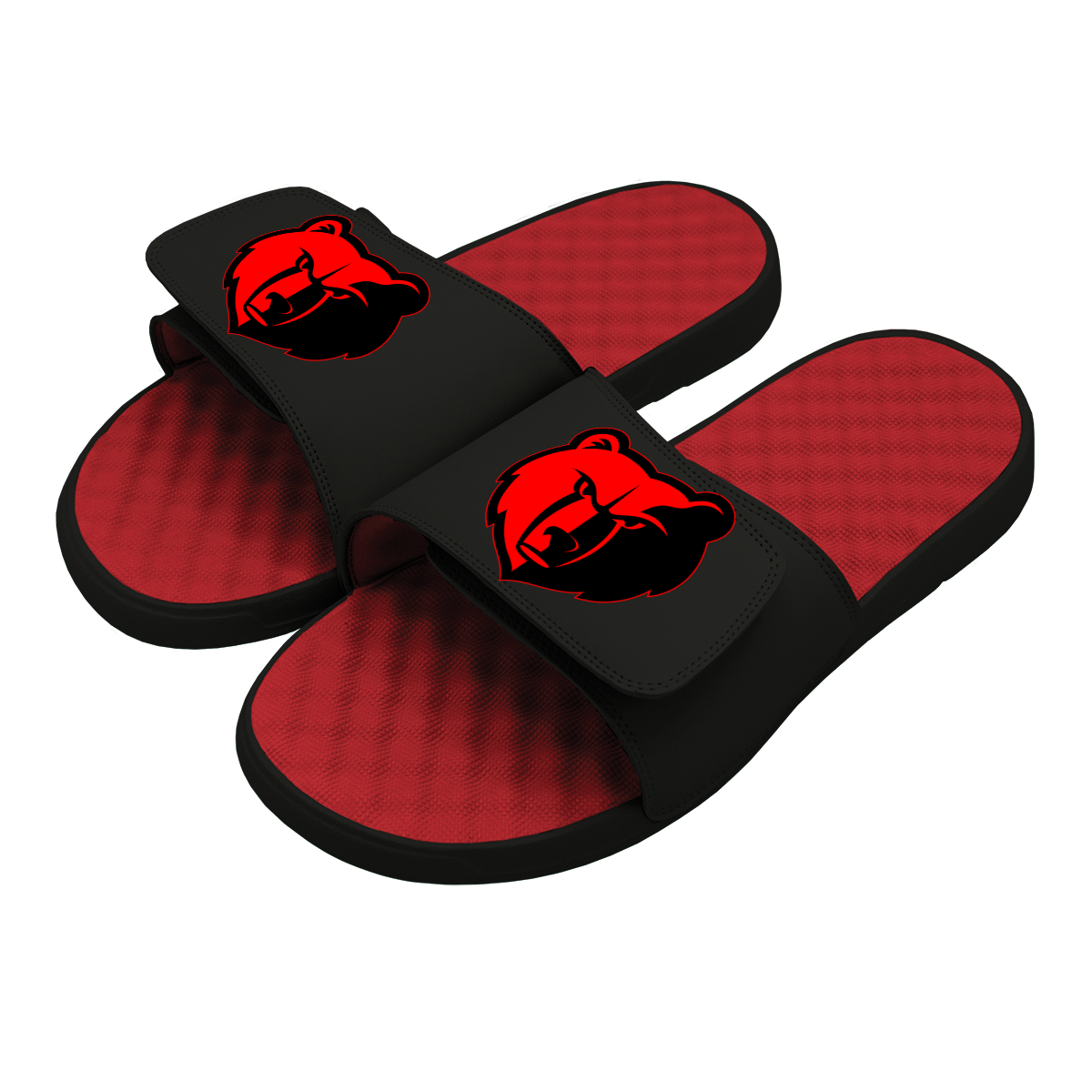 ISlide USA Memphis Grizzlies NBA Custom Slide Sandals