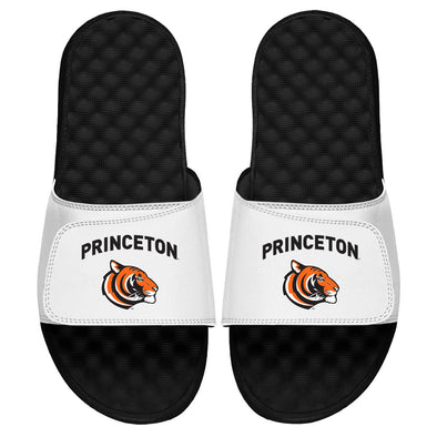 Princeton Tiger