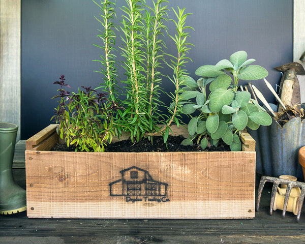 herb kits - wooden planter box indoorherbkits.com
