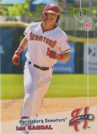 harrisburg senators jersey