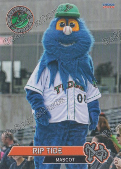 16 Norfolk Tides Rip Tide Mascot Go Sports Cards