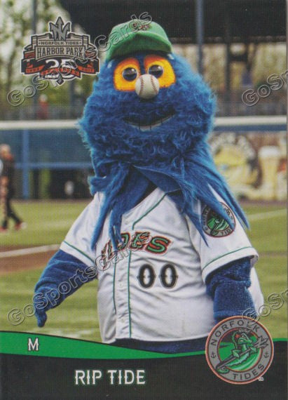 17 Norfolk Tides Rip Tide Mascot Go Sports Cards