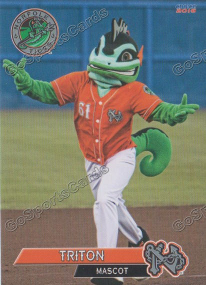 16 Norfolk Tides Triton Mascot Go Sports Cards