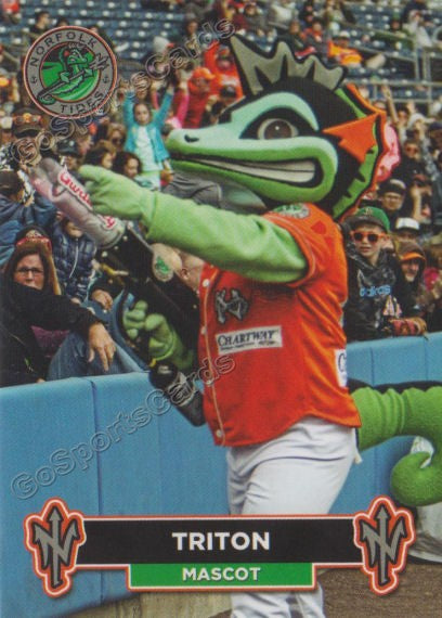 18 Norfolk Tides Triton Mascot Go Sports Cards