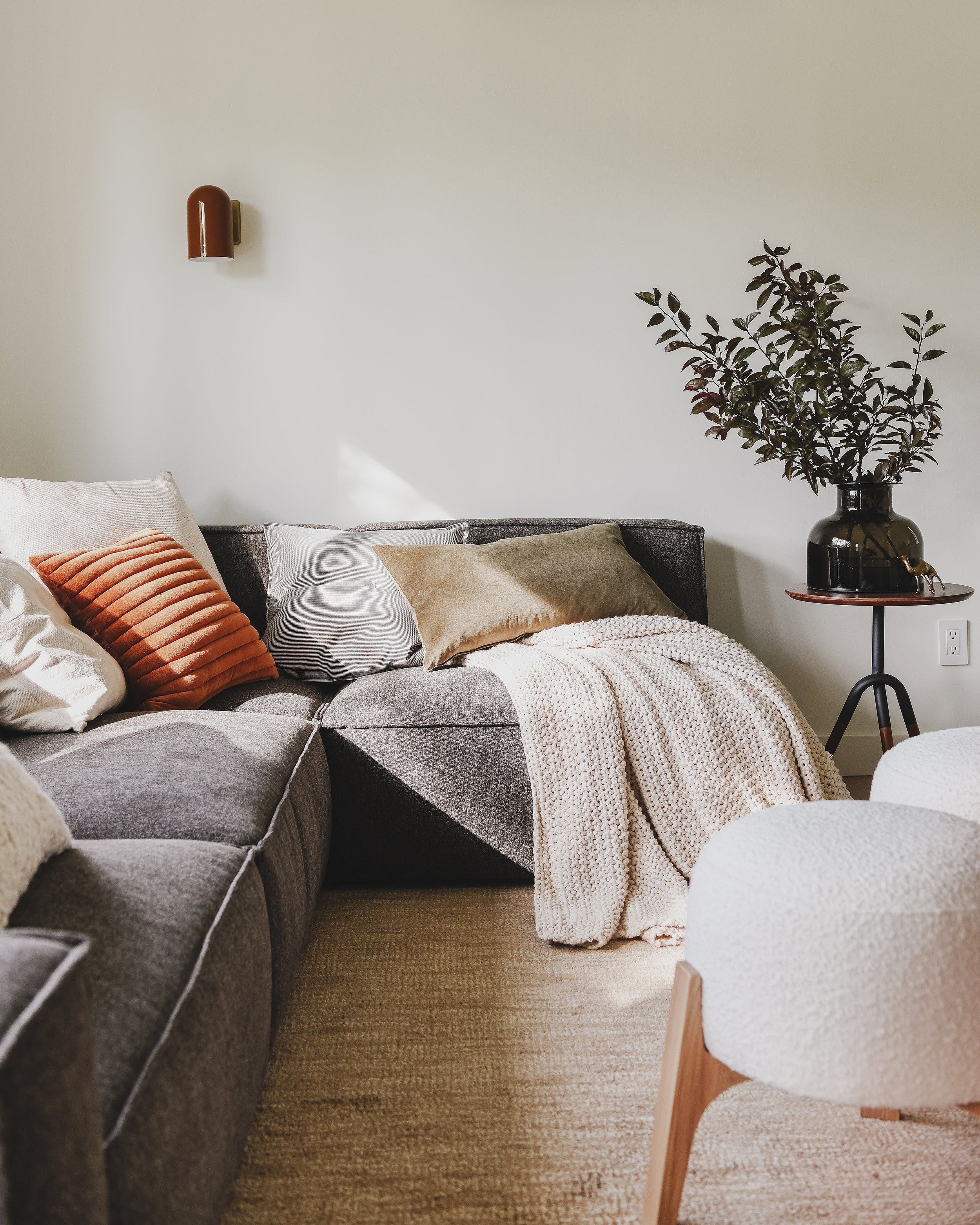 Serene living room with earthy hues.