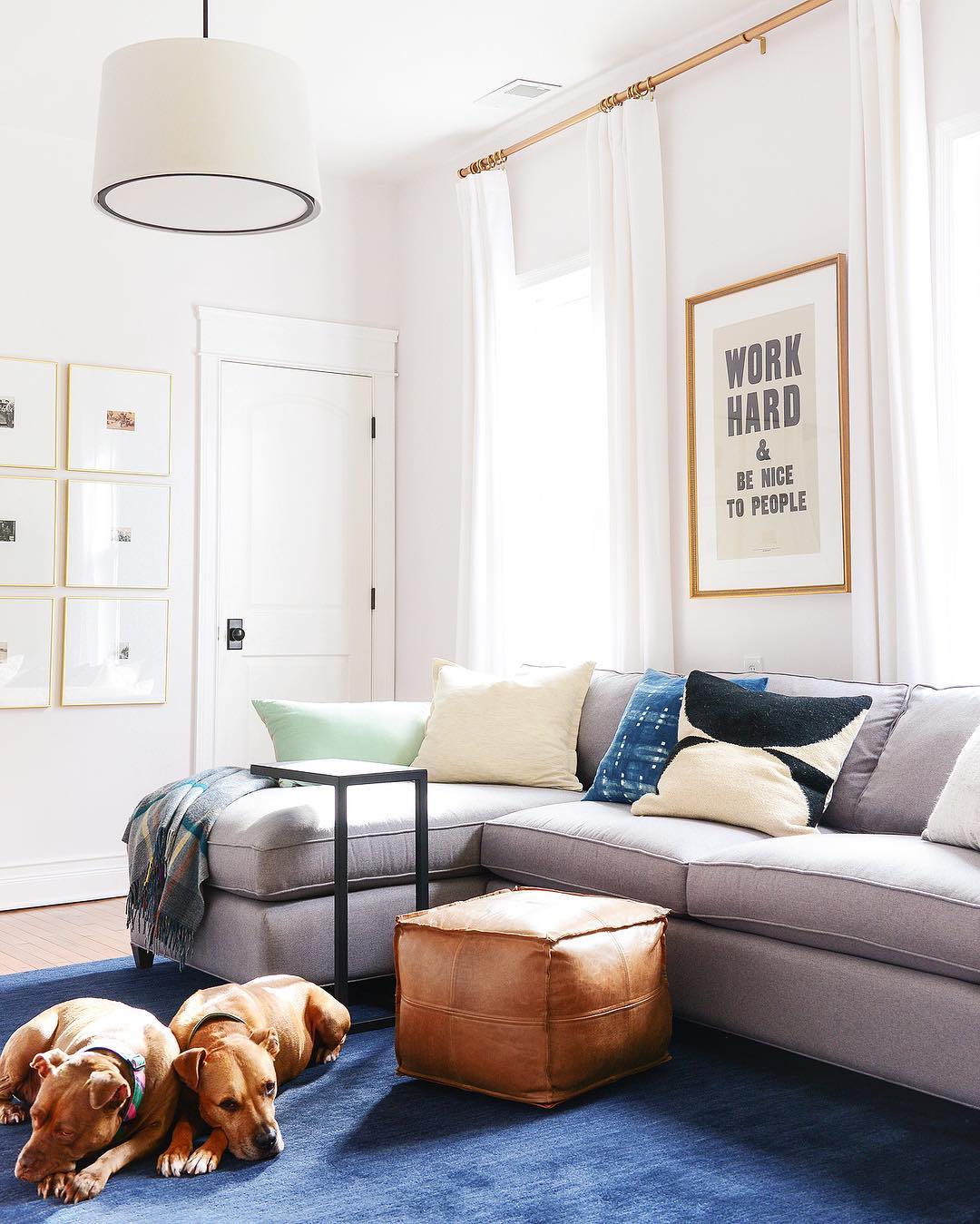 Gray couch with blue rug and dogs sleeping.