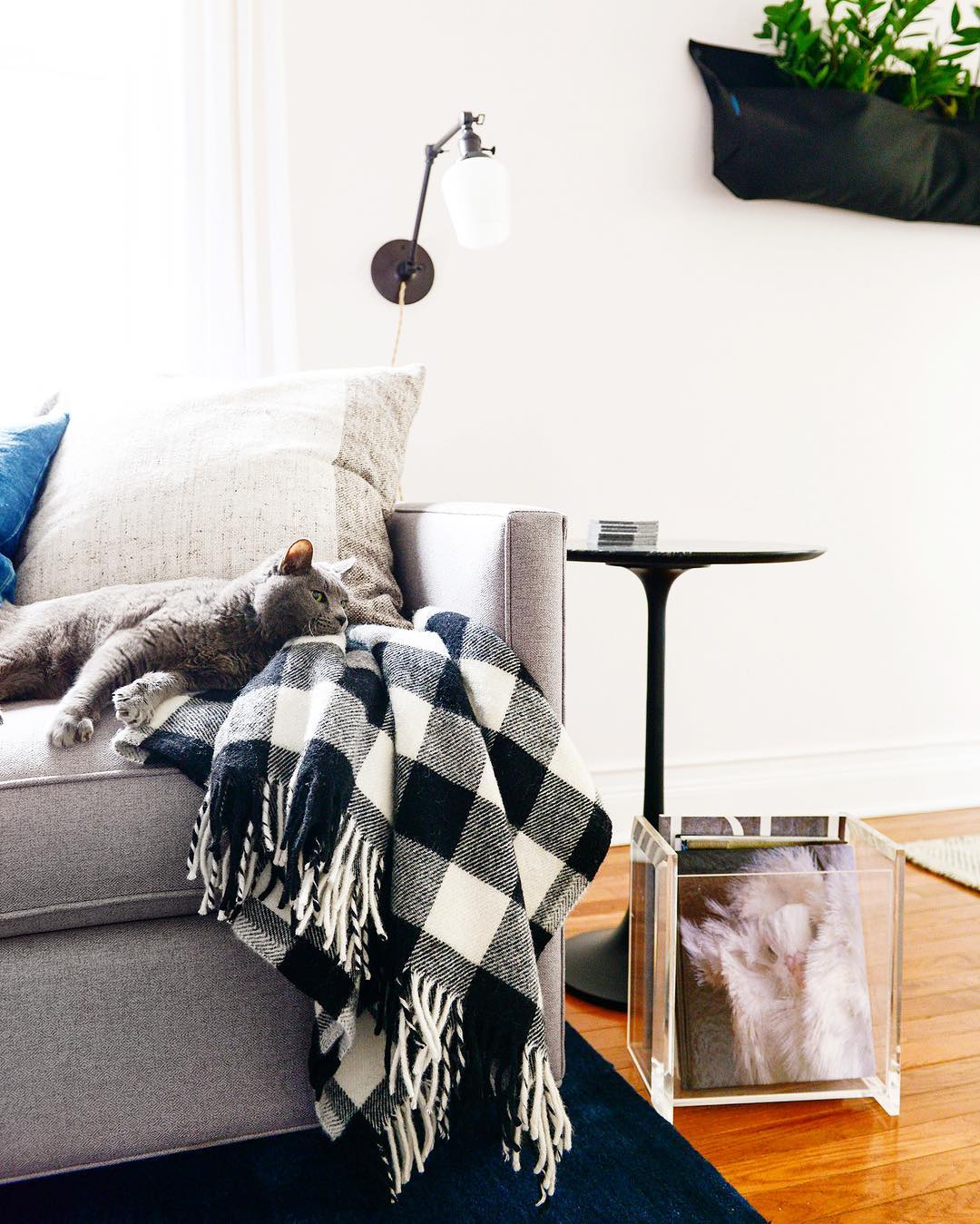 Black side table next to gray couch.