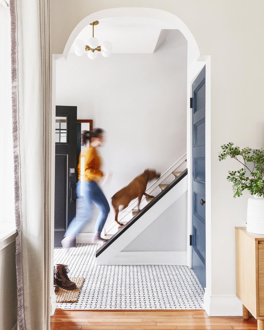 Person walking upstairs with dog.