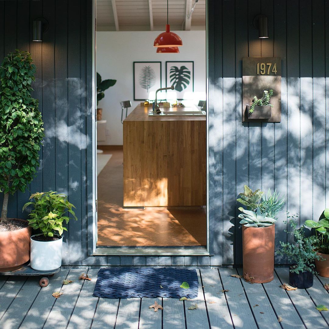 patio with potted plants and blue walls