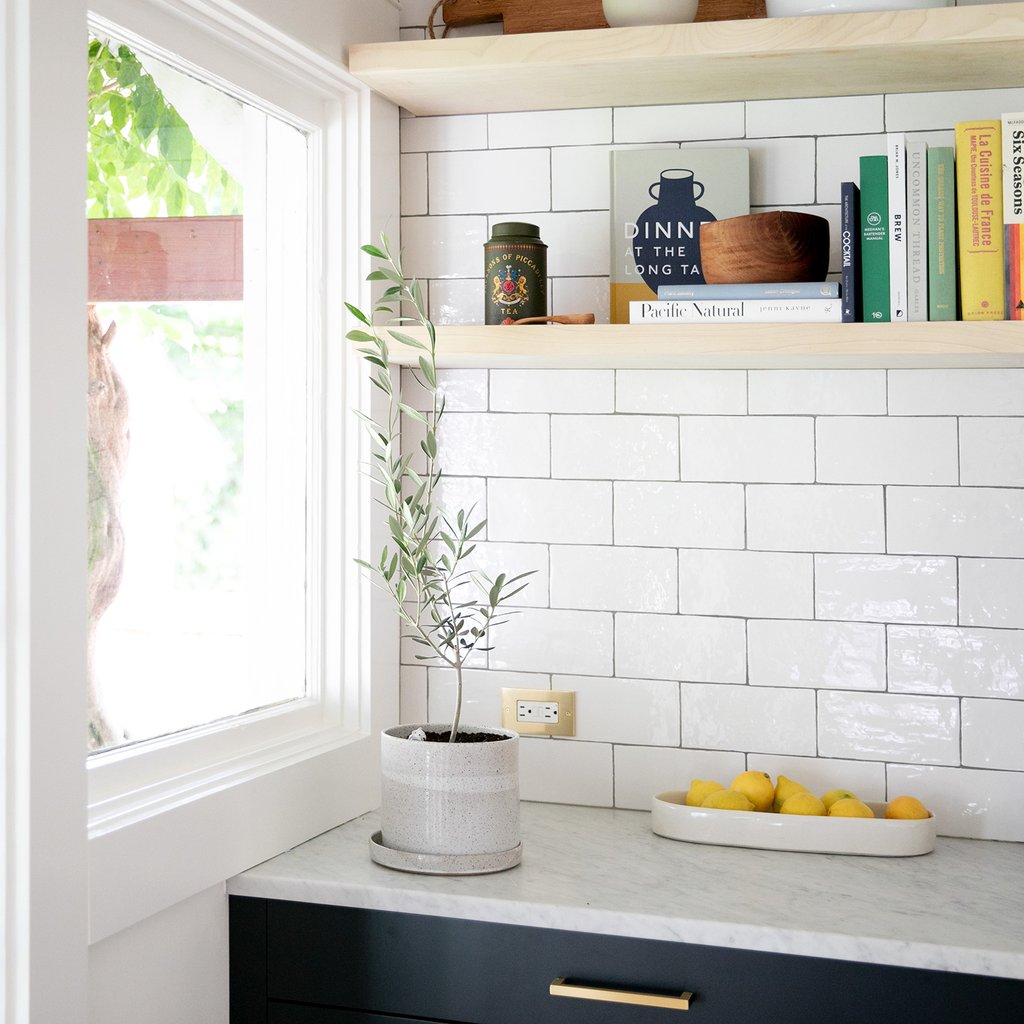 kitchen with a plant on the shelf