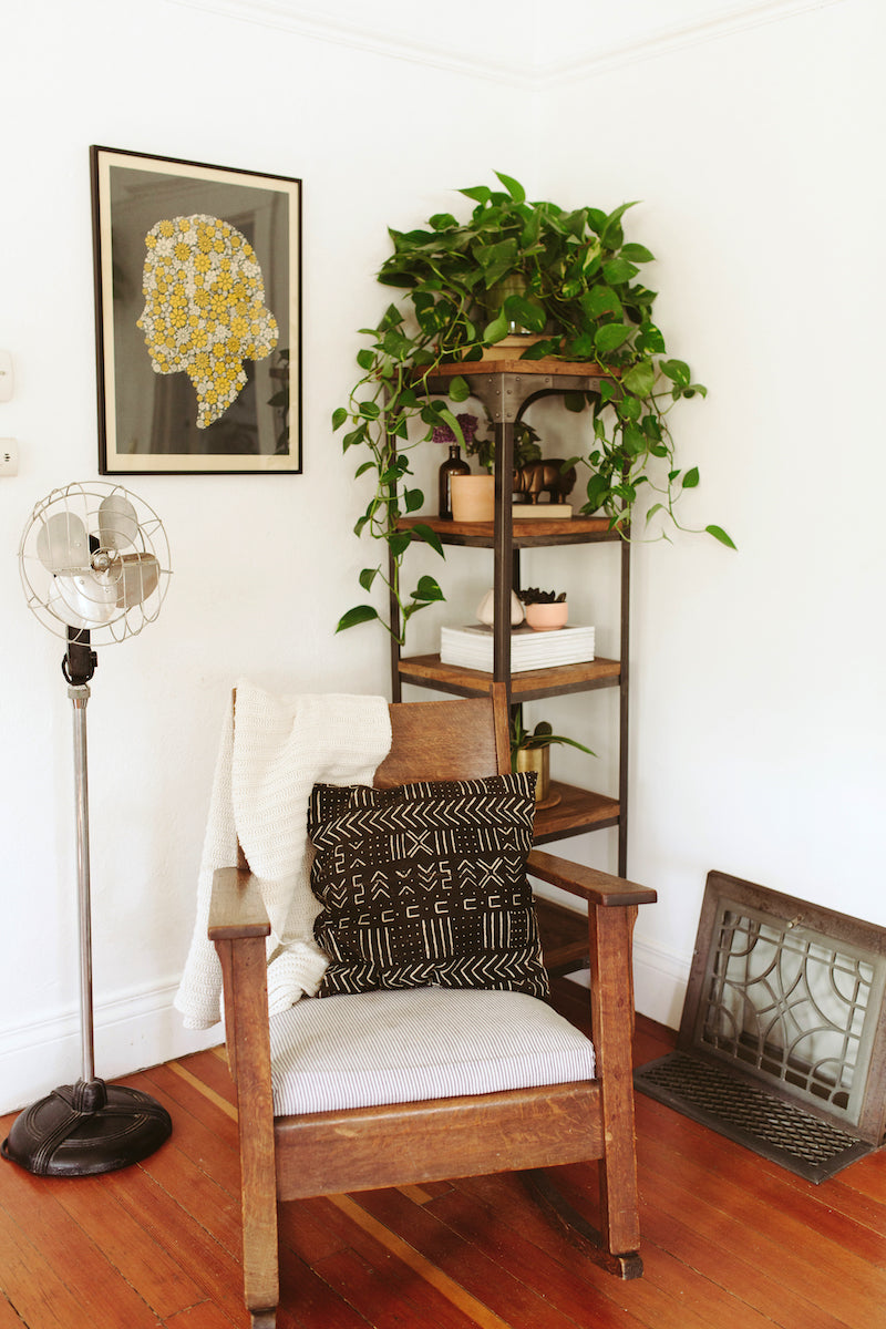 chair with a black pillow on it next to a shelf unit with a plant on top