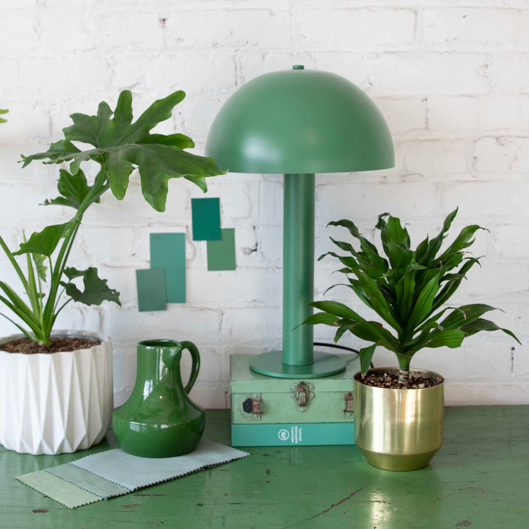 green lamp next to a plant on a green table