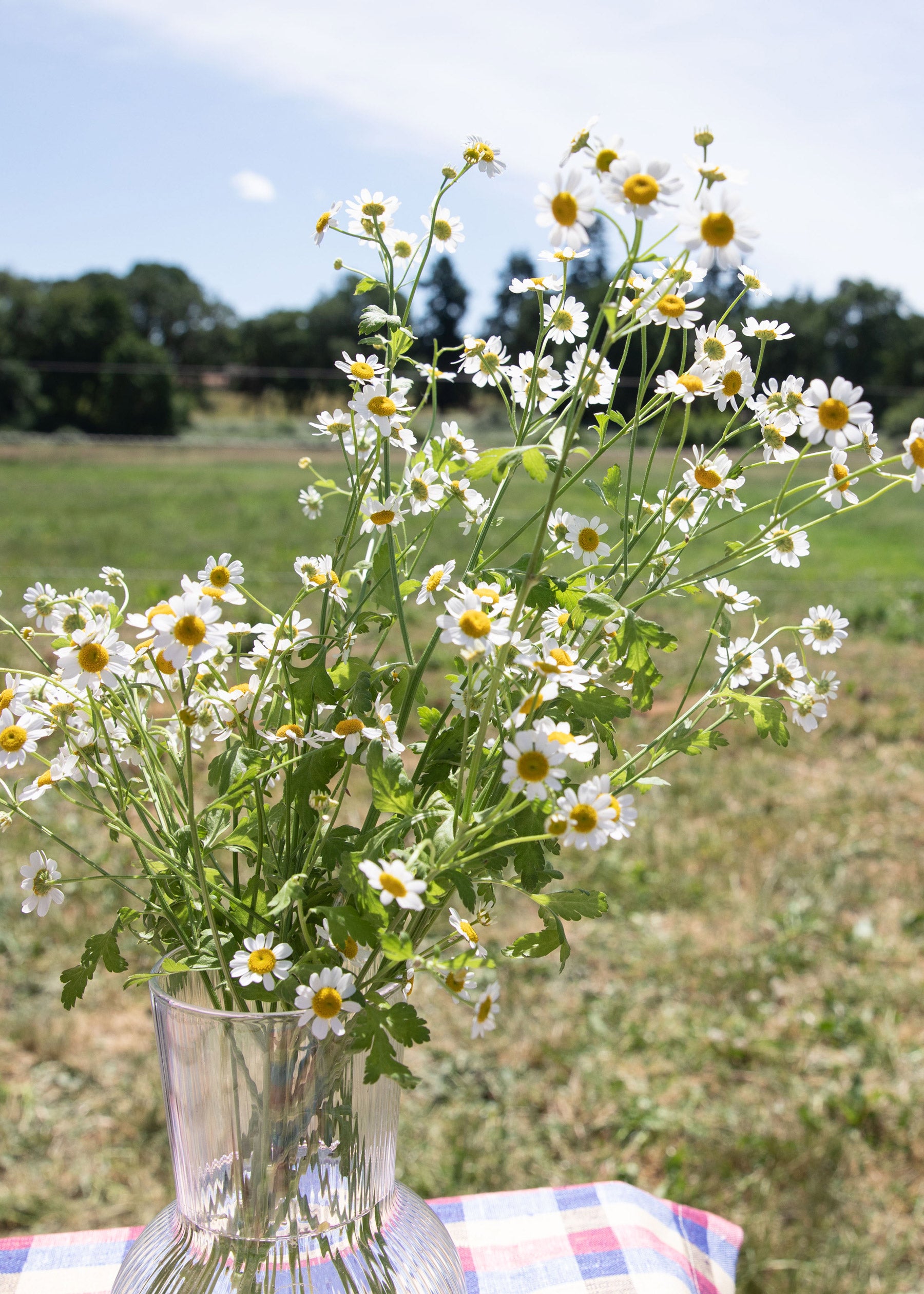 vase of flowers