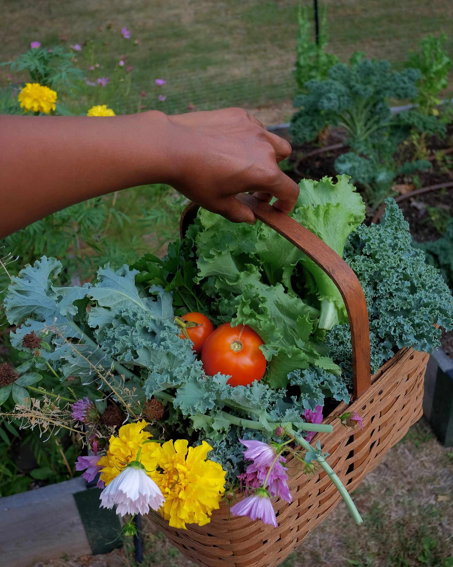 A basket of vegetables from the garden. 