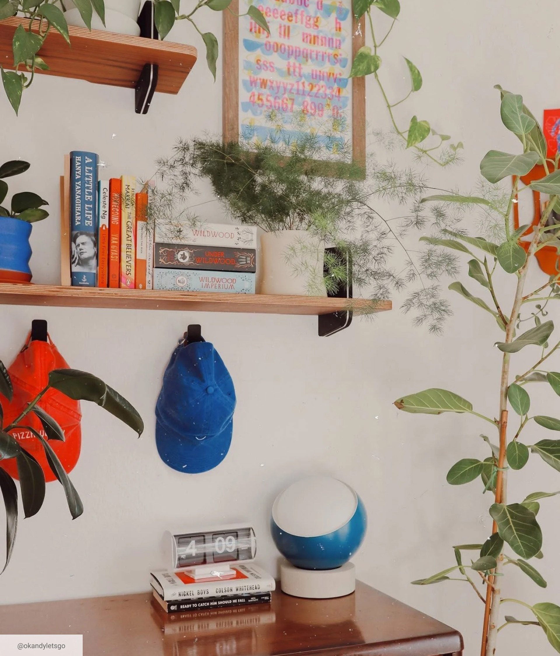 Mid century dresser below wooden bookshelves featuring books, art, and potted plants.