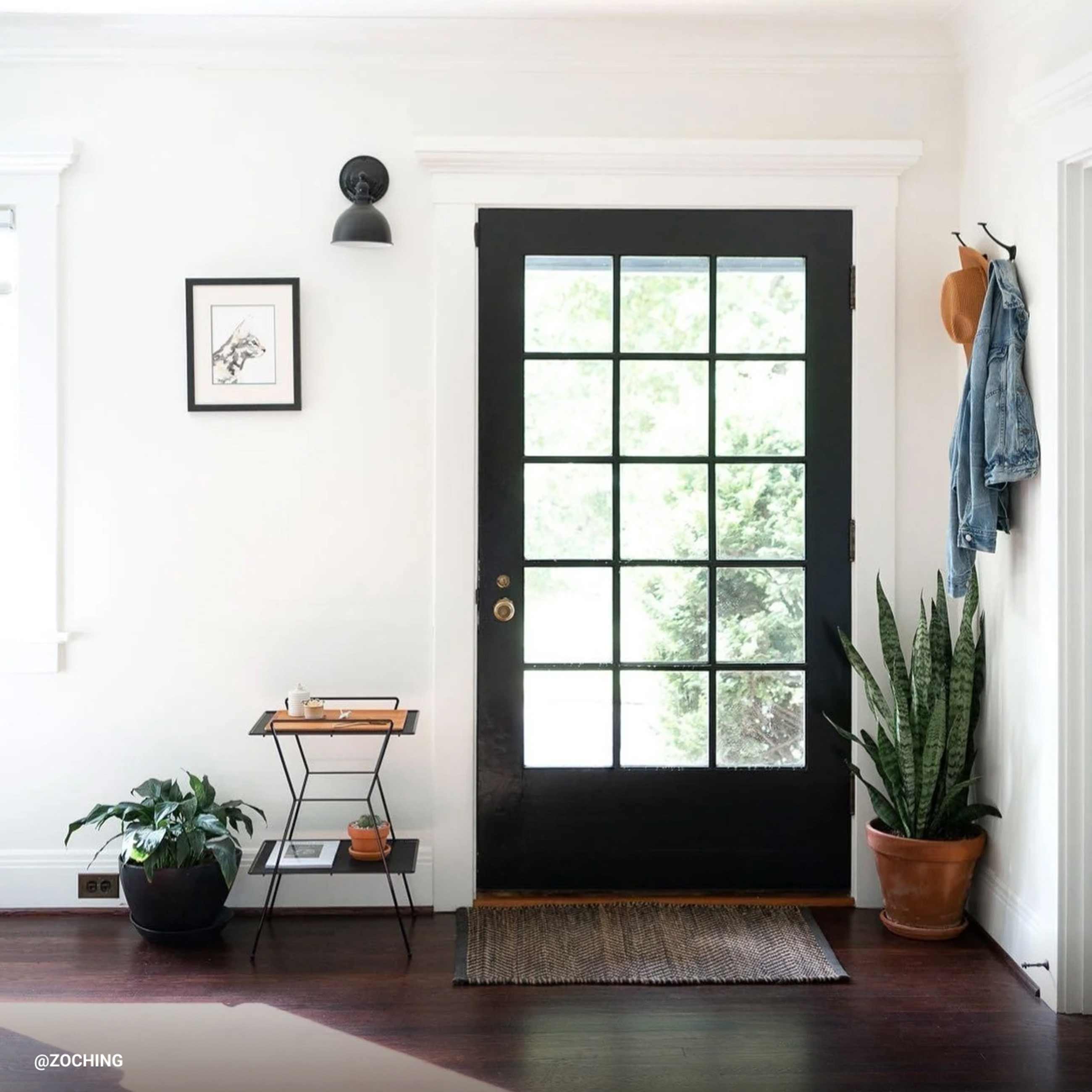 Bright entryway with snake plant and black door.